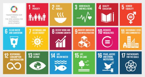 The Five Practices of SDG-ready Evaluation