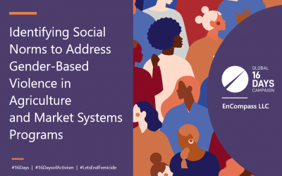 Identifying Social Norms to Address Gender-Based Violence in Agriculture  and Market Systems Programs